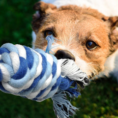 TwoEar rope toy designed for tossing to entice fetch and active outdoor fun.