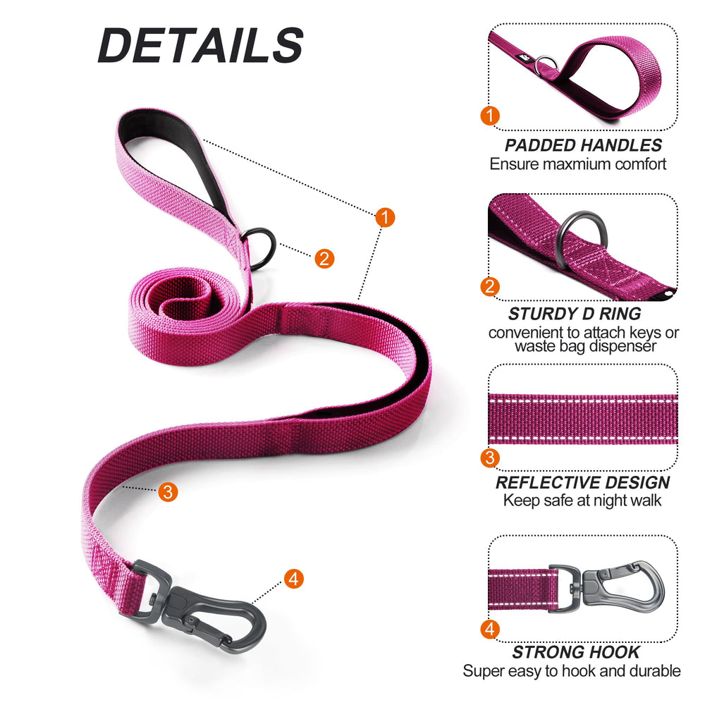 TwoEar dual-handles rose leash for enhanced control during busy outings.