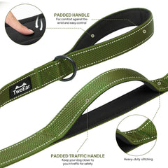 TwoEar durable nylon leash with high-density webbing for daily use.