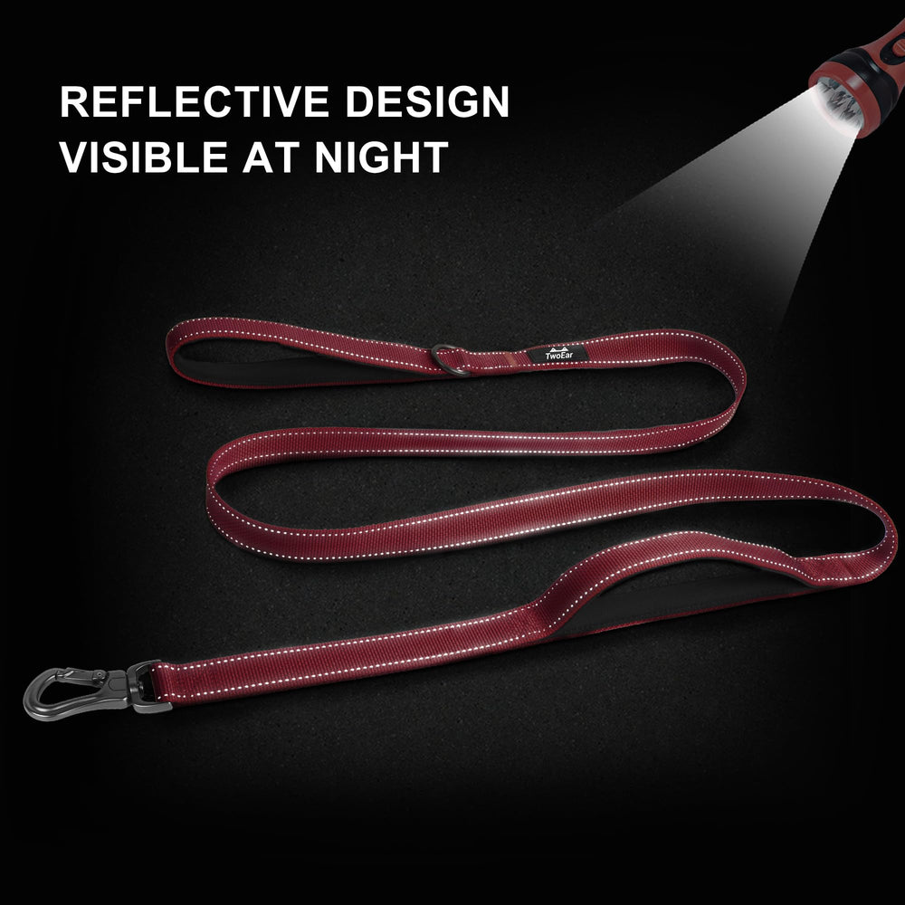TwoEar heavy-duty nylon leash offers strong, durable everyday use.