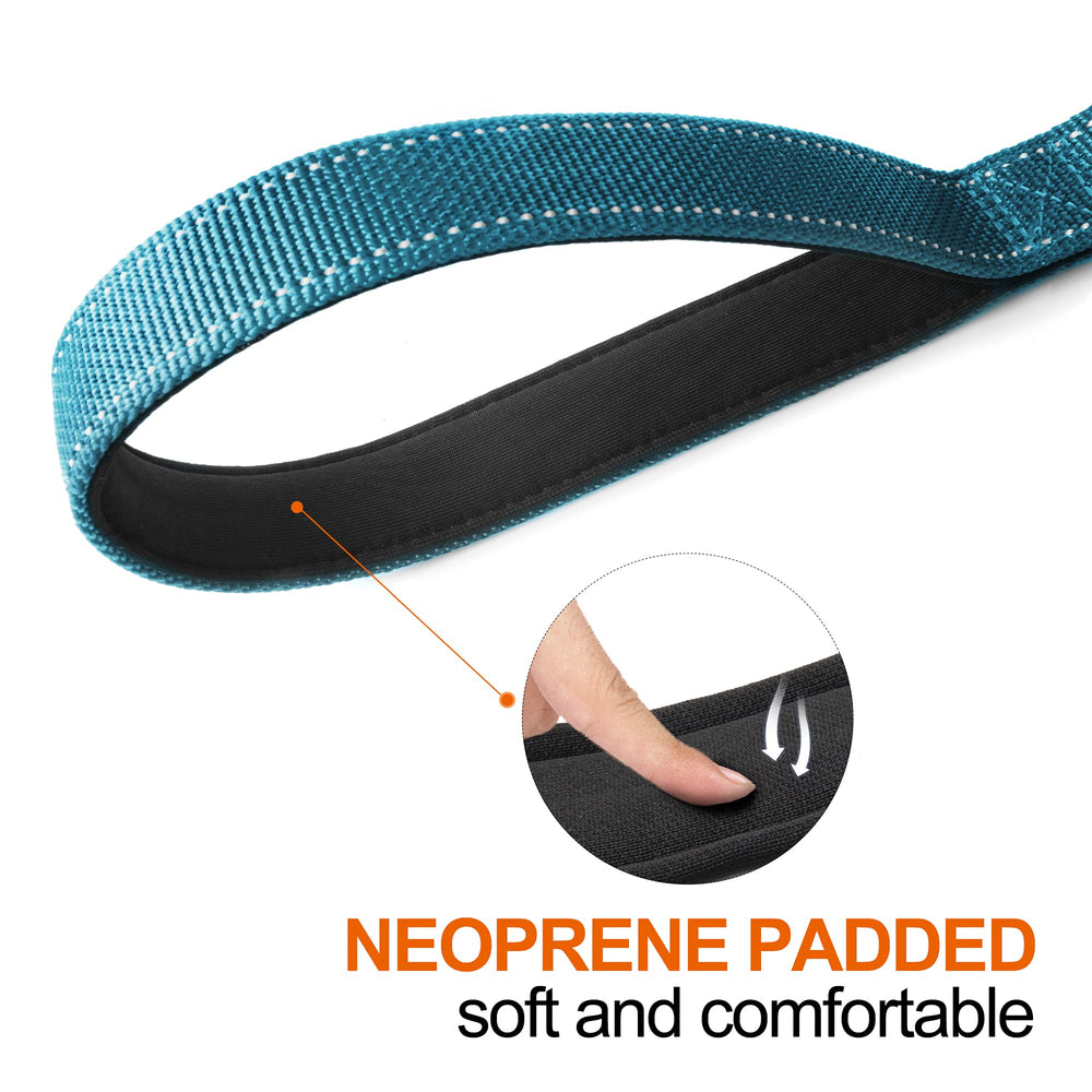 TwoEar reflective threads keep your dog visible on nighttime walks.