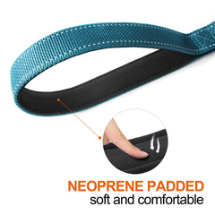 TwoEar reflective threads keep your dog visible on nighttime walks.