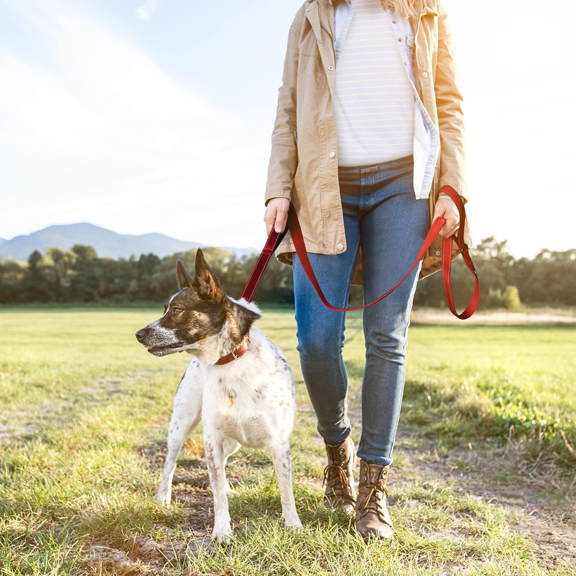 TwoEar red leash in use during an outdoor walk with a dog.