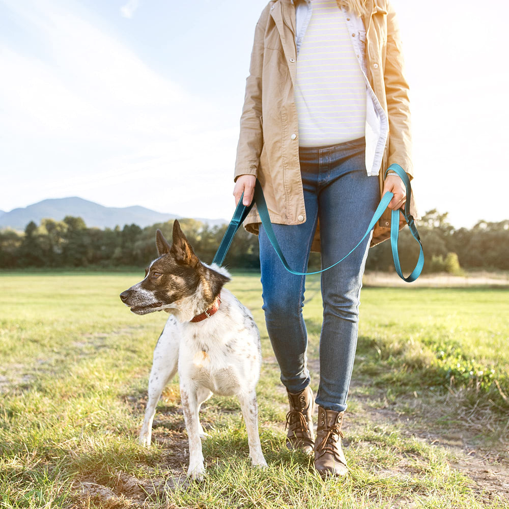 TwoEar blue leash designed for outdoor walking and training sessions.