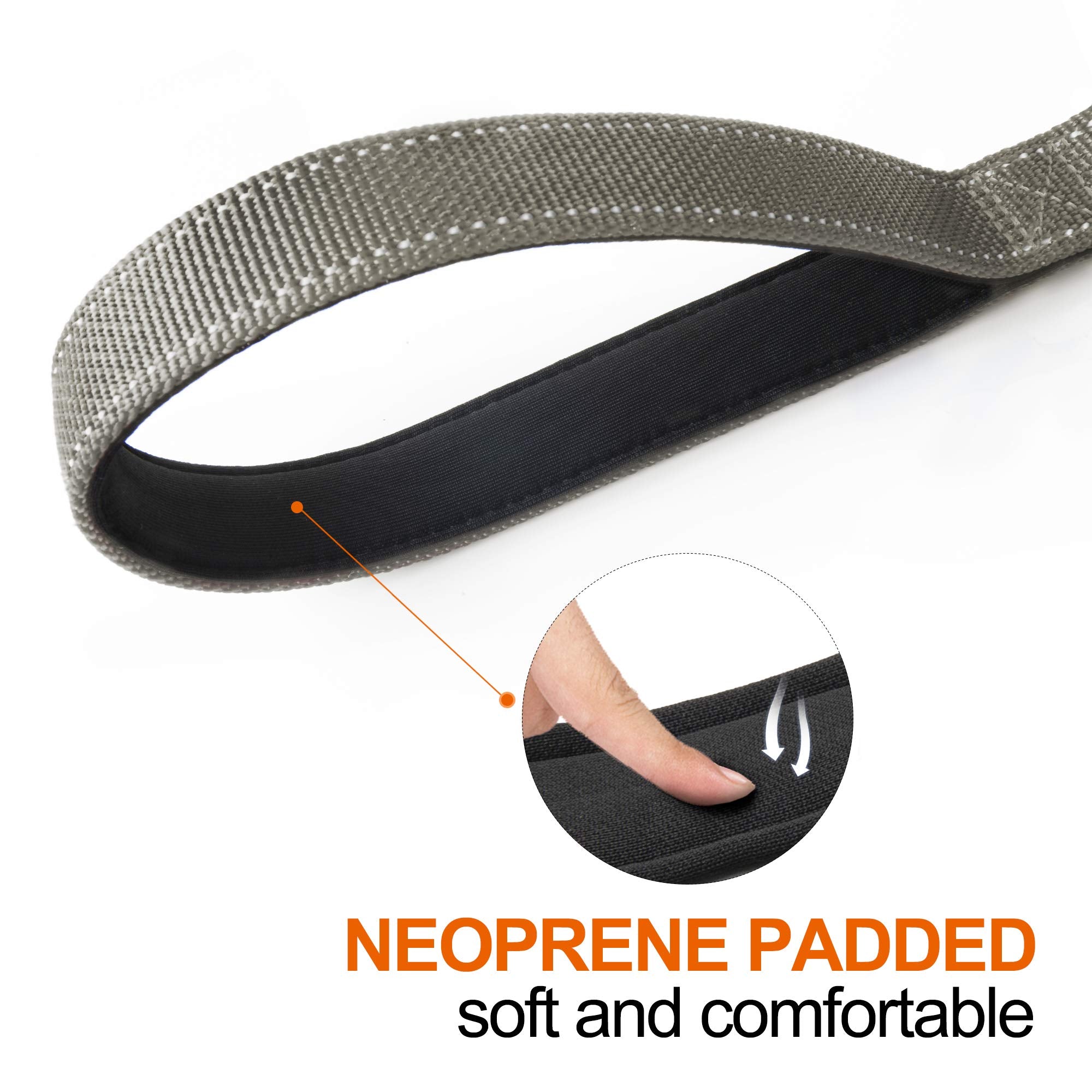TwoEar reflective leash helps visibility during night walks