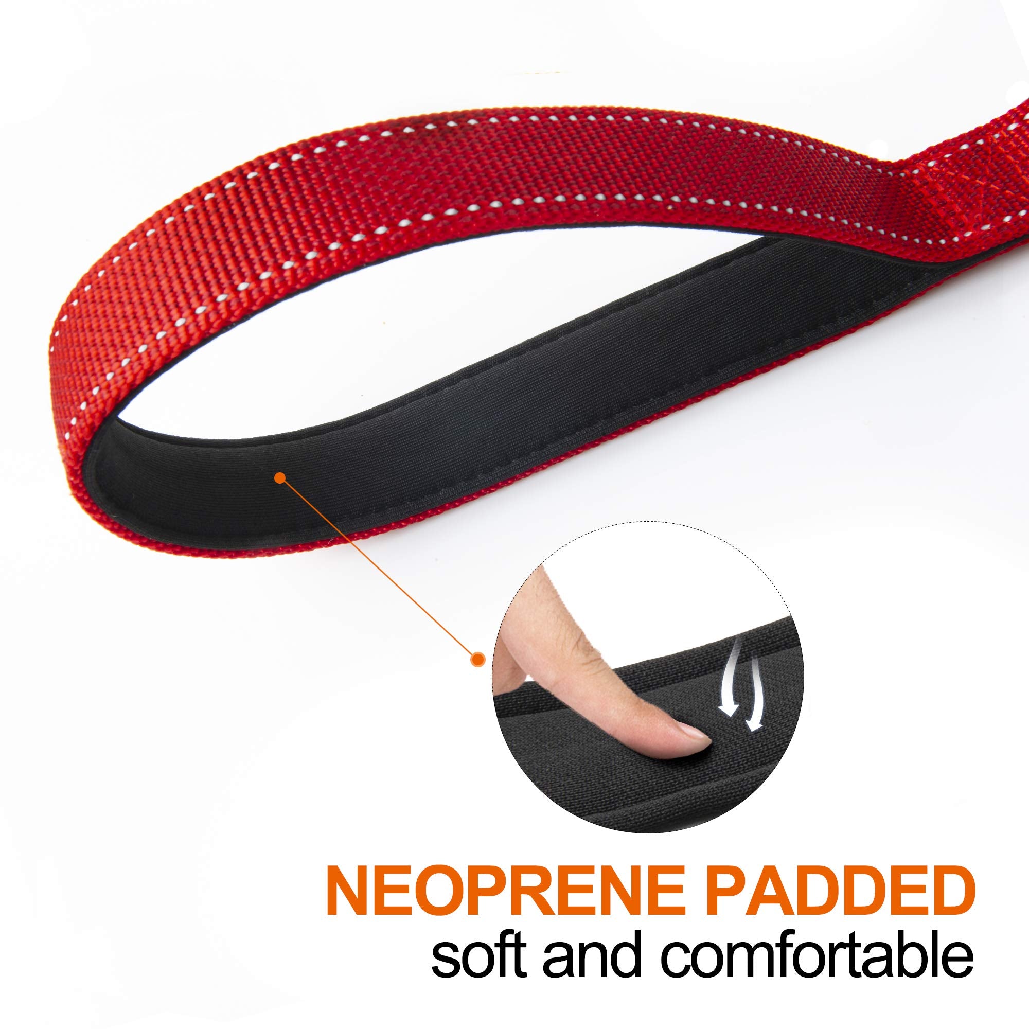 TwoEar leash with reflective stitching enhances visibility at night.
