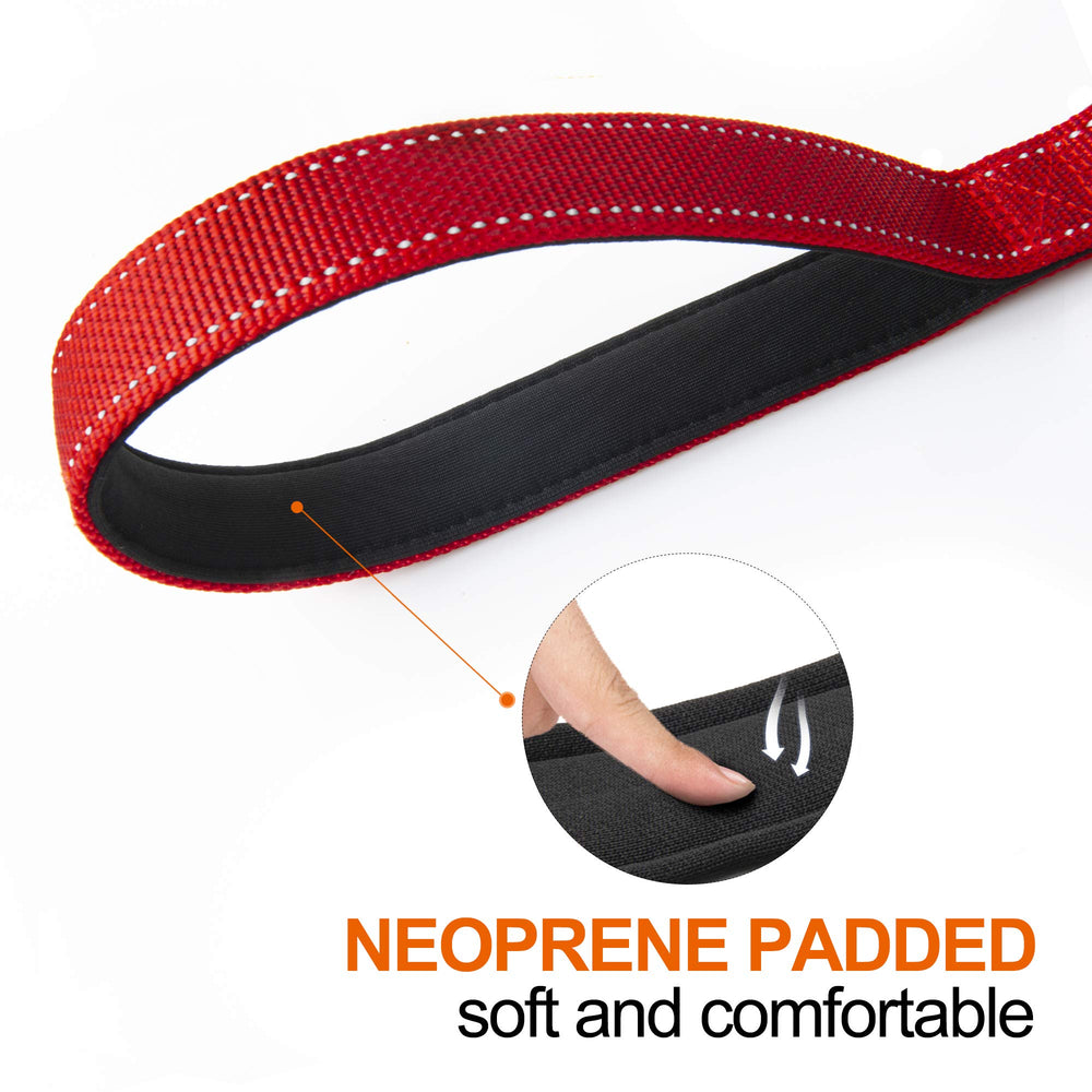 TwoEar leash with reflective stitching enhances visibility at night.