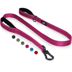 TwoEar rose dog leash 6ft with padded handles for comfortable daily walks.