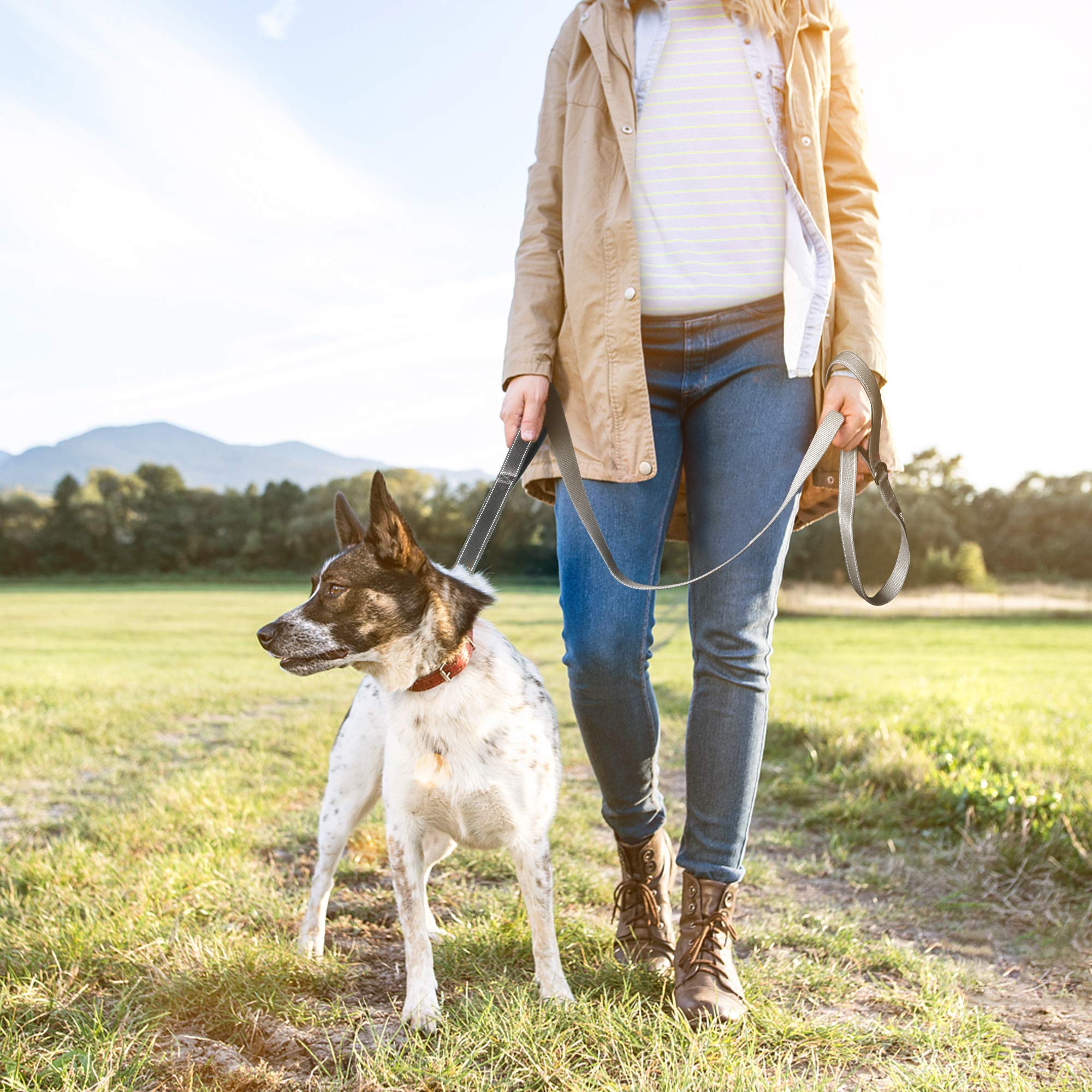 TwoEar soft dual-handle leash reduces hand fatigue during strolls
