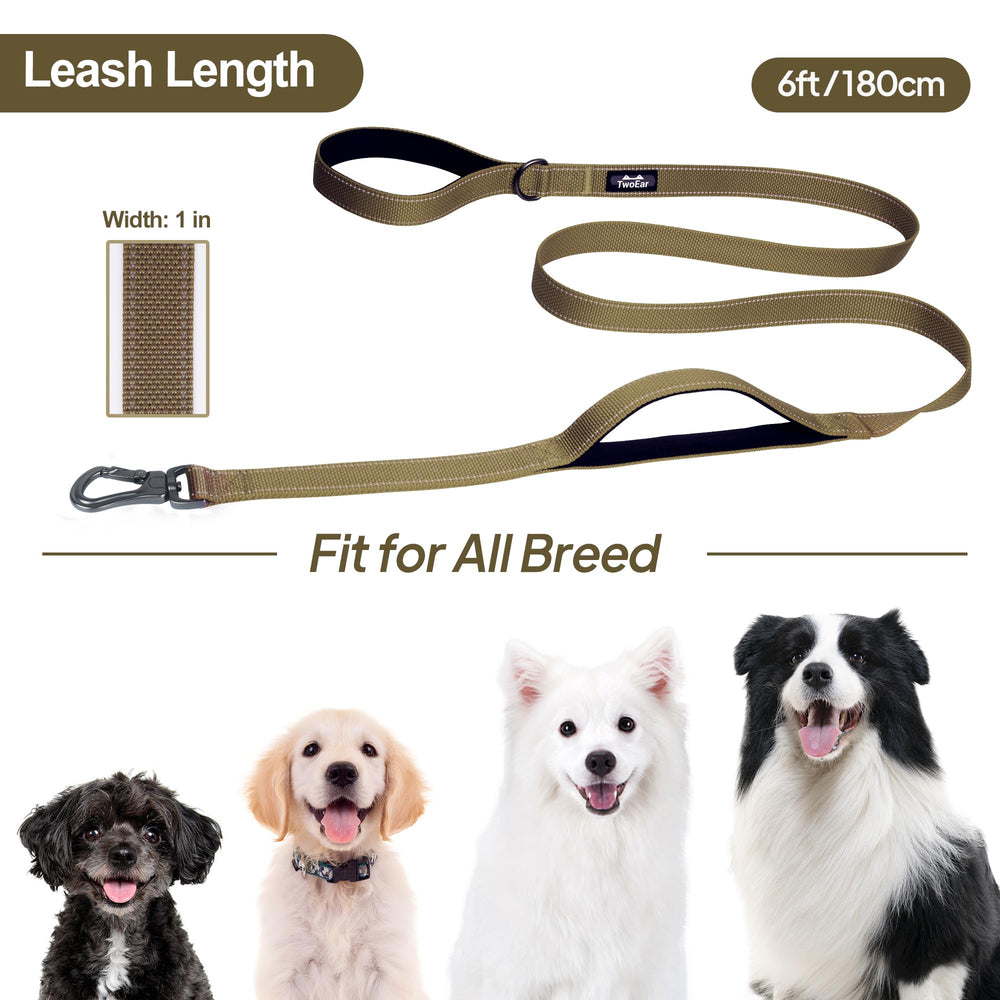 TwoEar leash suitable for small to large dogs during everyday activities.