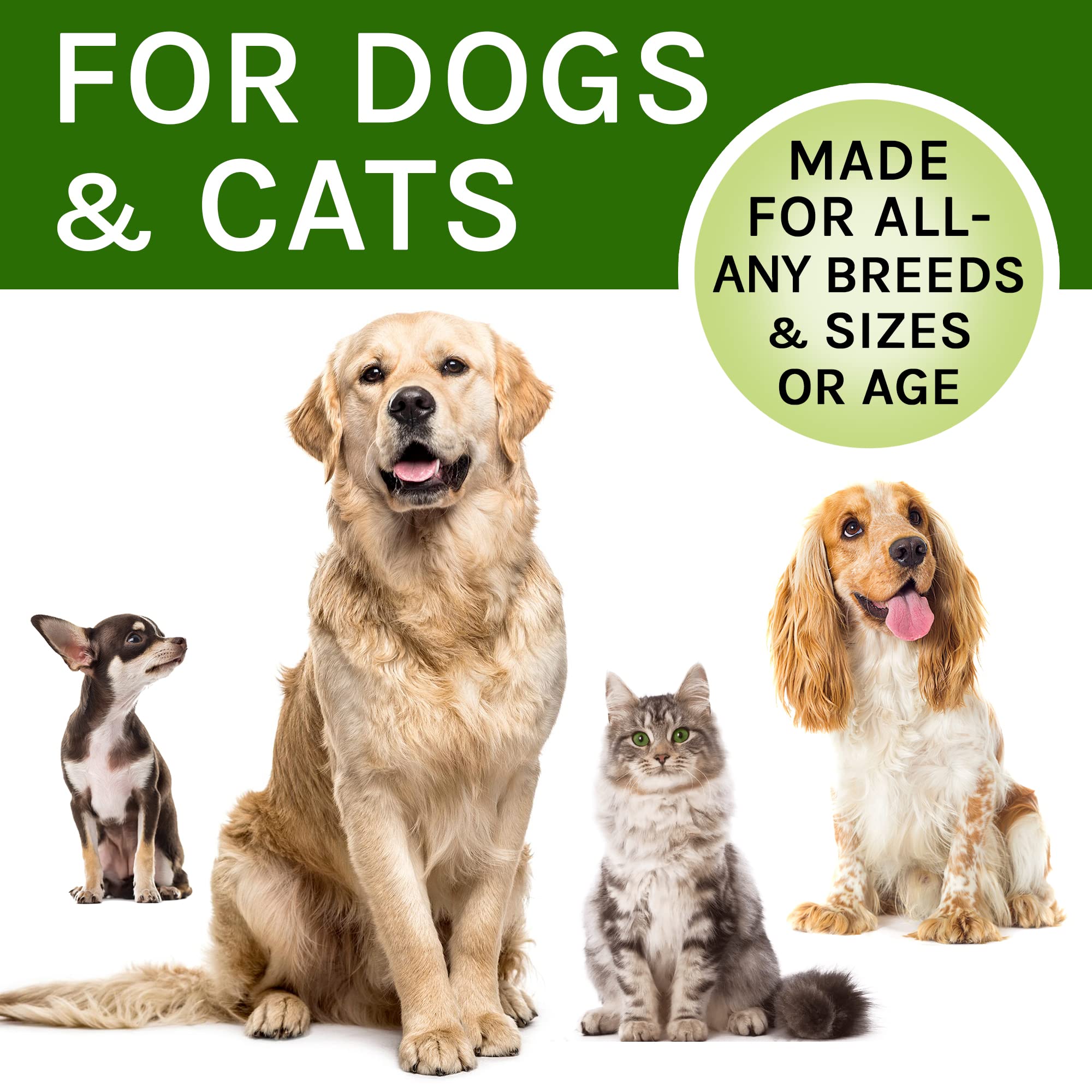 TwoFurFinds Adrenal Balance cat-friendly drops for gentle support.
