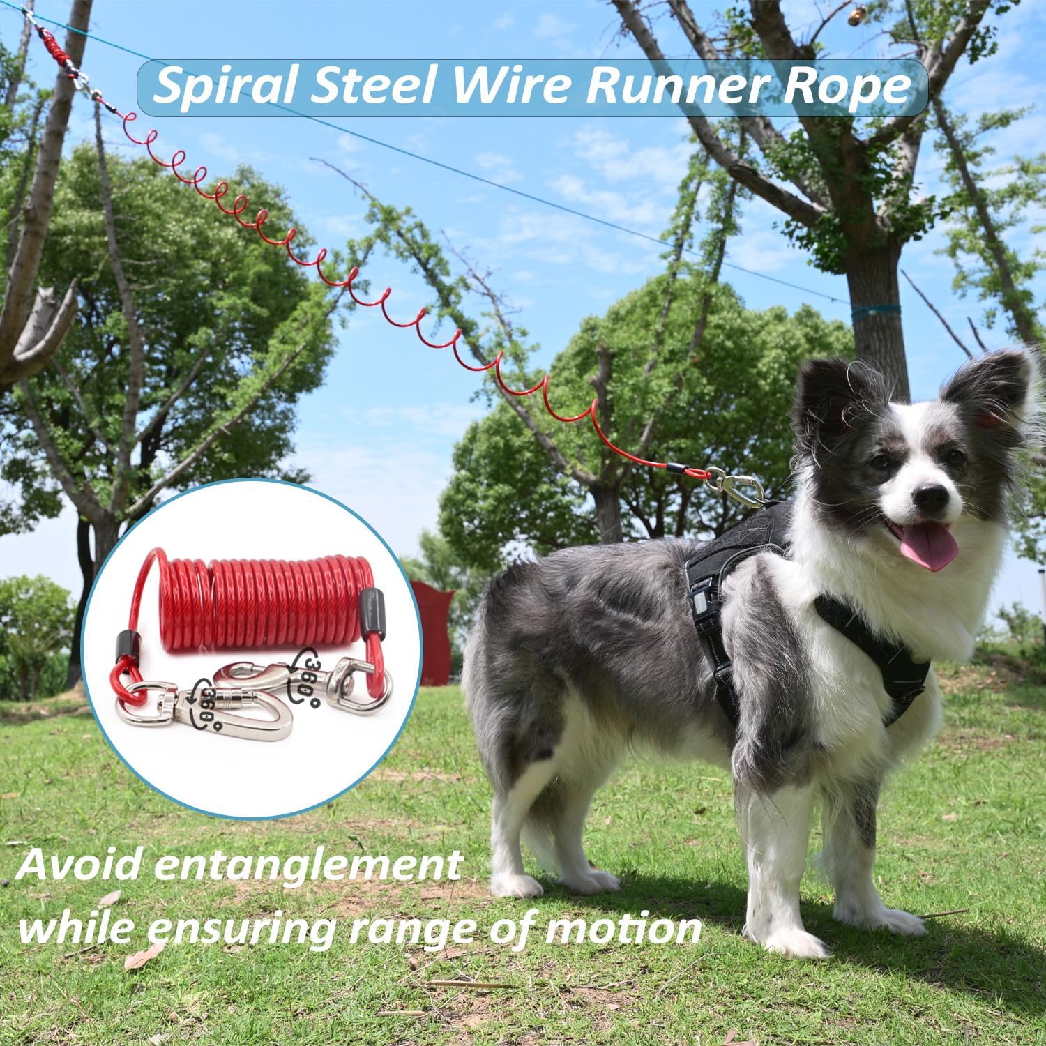 Tyalez safety buffer design combines shock-absorbing rope and inner core for gentle pulls.