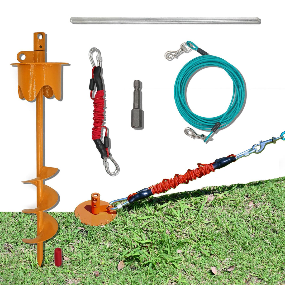 Tyalez dog stake in yard, heavy-duty anchor for large dogs.