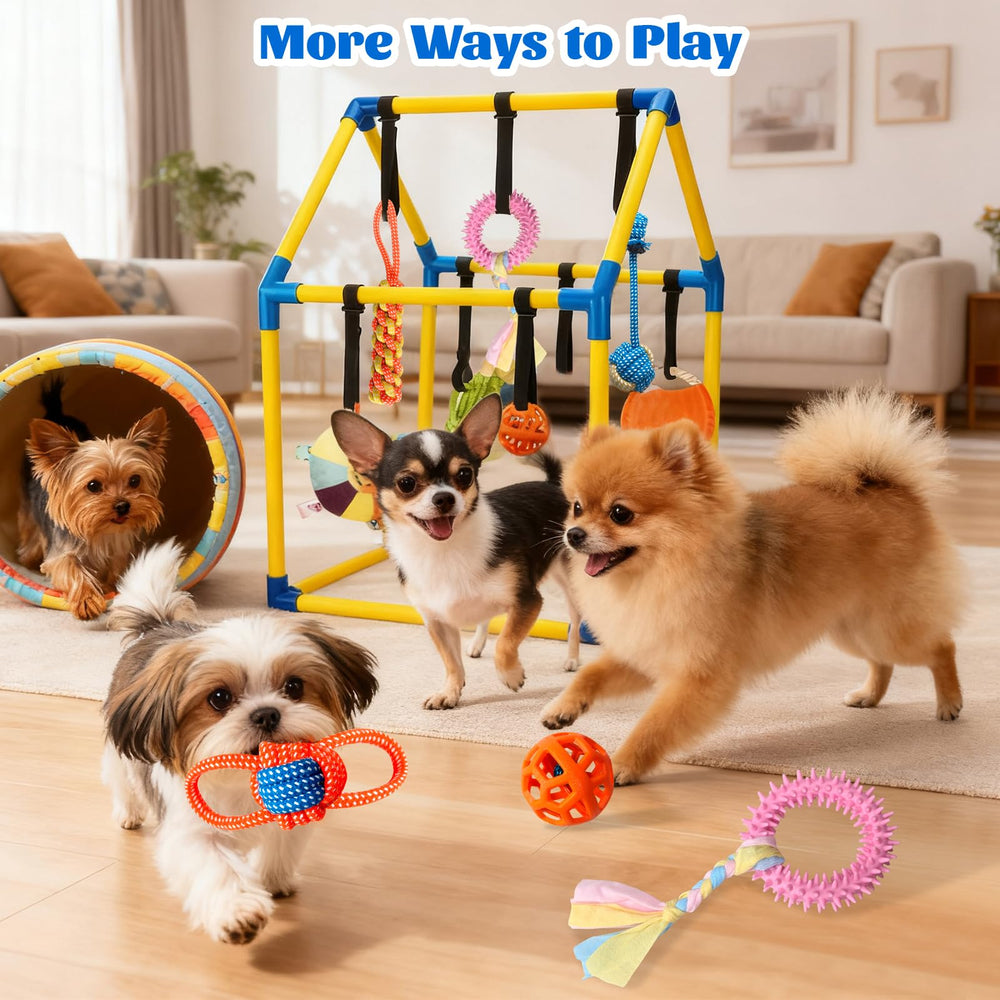 Easy tool-free assembly for the Tynexal Puppy Play Gym indoors