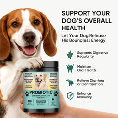 TzzyiC dog probiotics chews close-up shows tasty formula for gut health