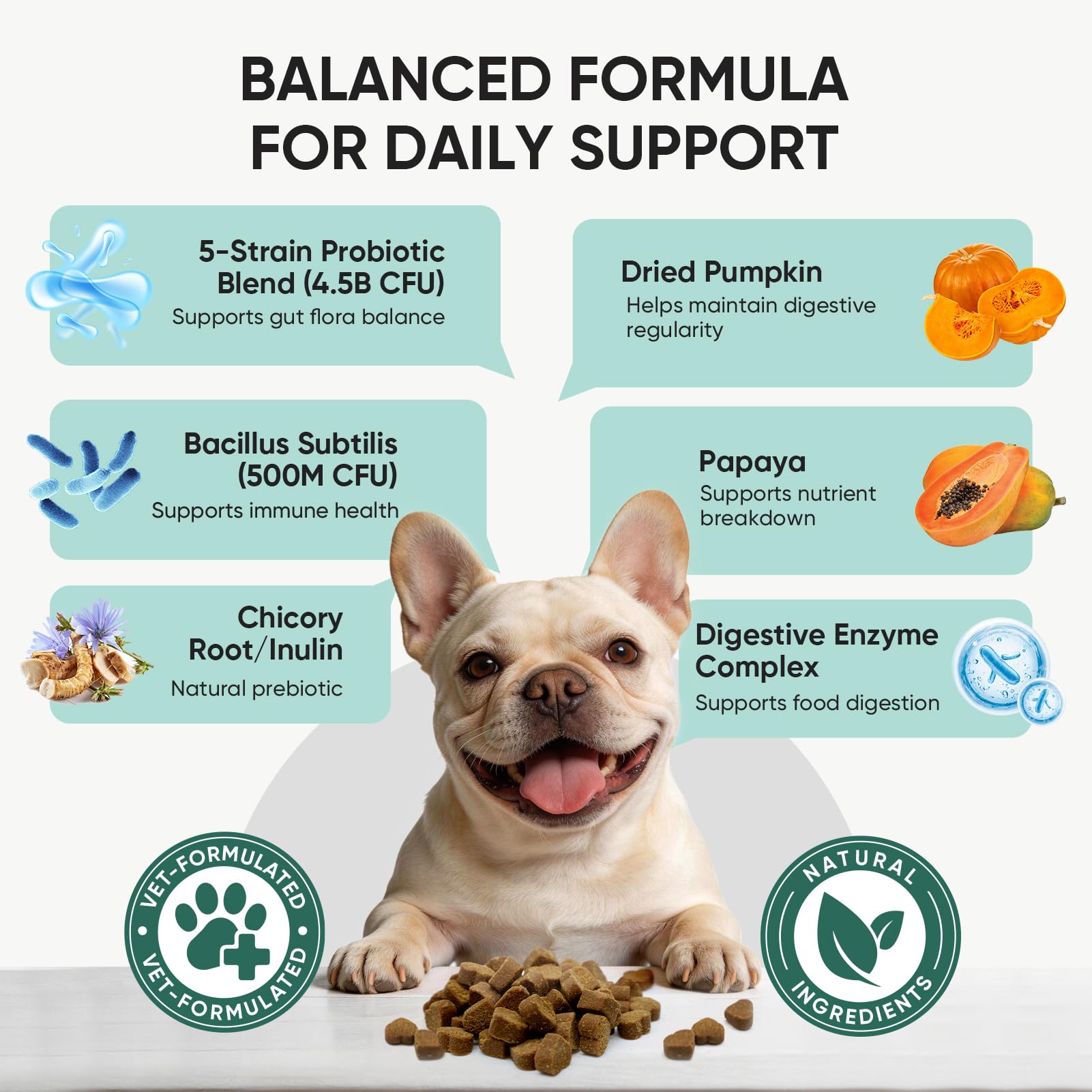 TzzyiC probiotics chews label close-up highlights premium ingredients