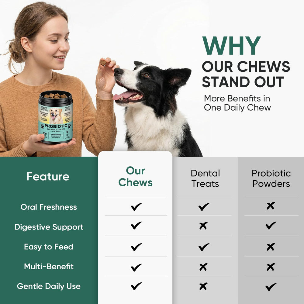 TzzyiC dog probiotics daily-use chews shown in a simple routine