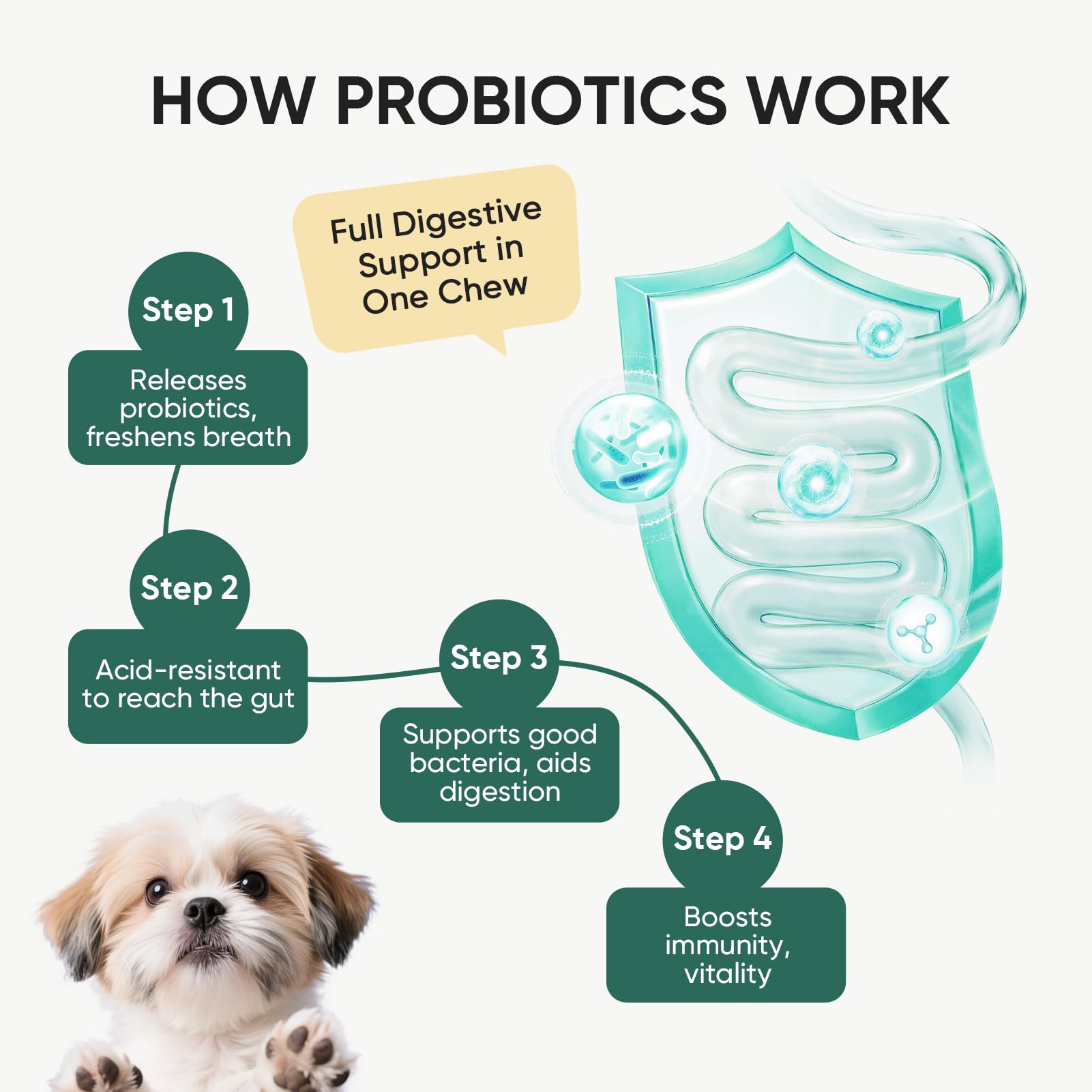 TzzyiC dog probiotics packaging box highlights veterinary formulation