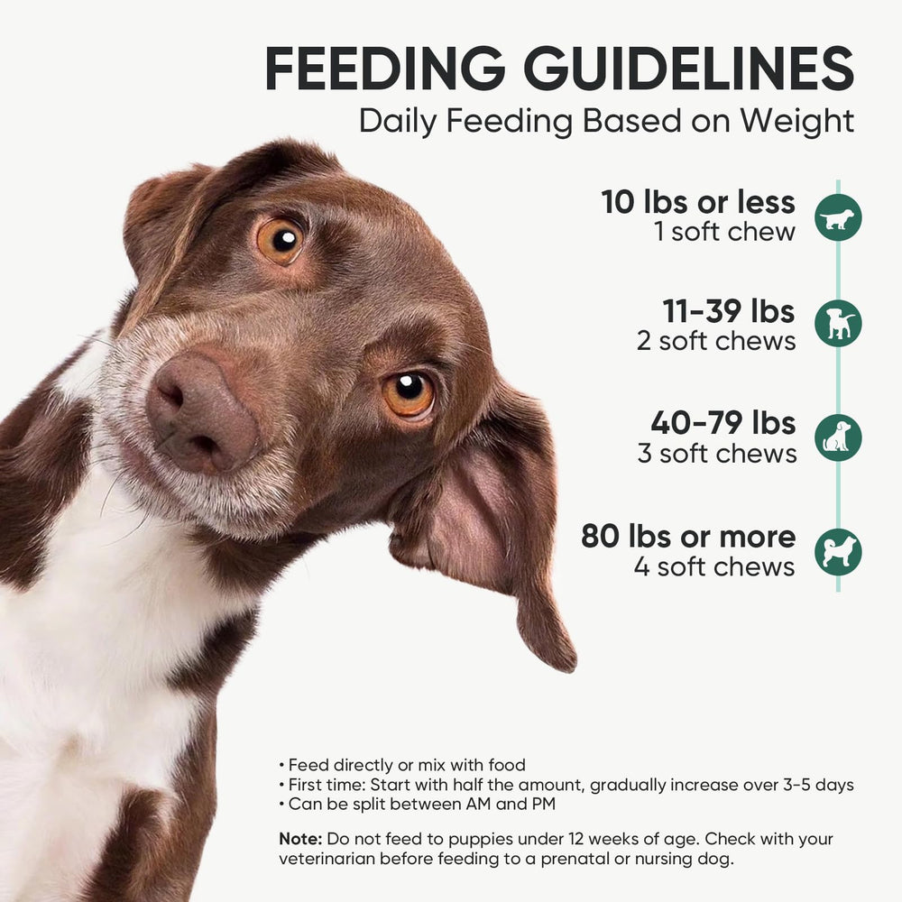 TzzyiC dog probiotics bowl serving suggests easy daily routine