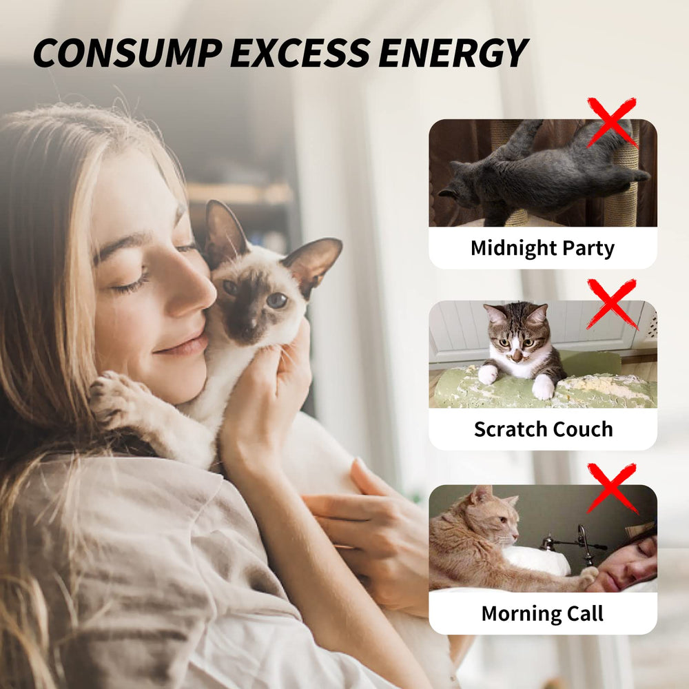 uahpet interactive session reduces boredom and energy buildup