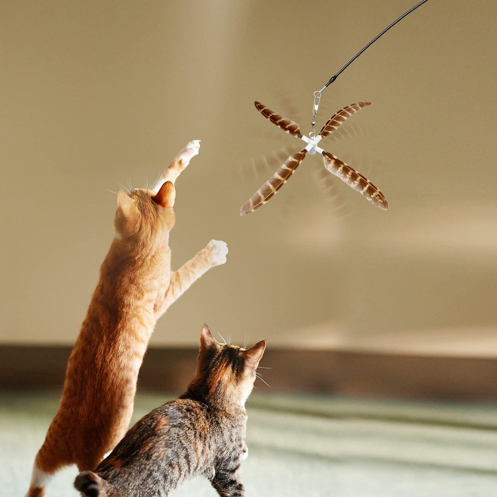 uahpet packaging contents show wand and teasers for indoor play
