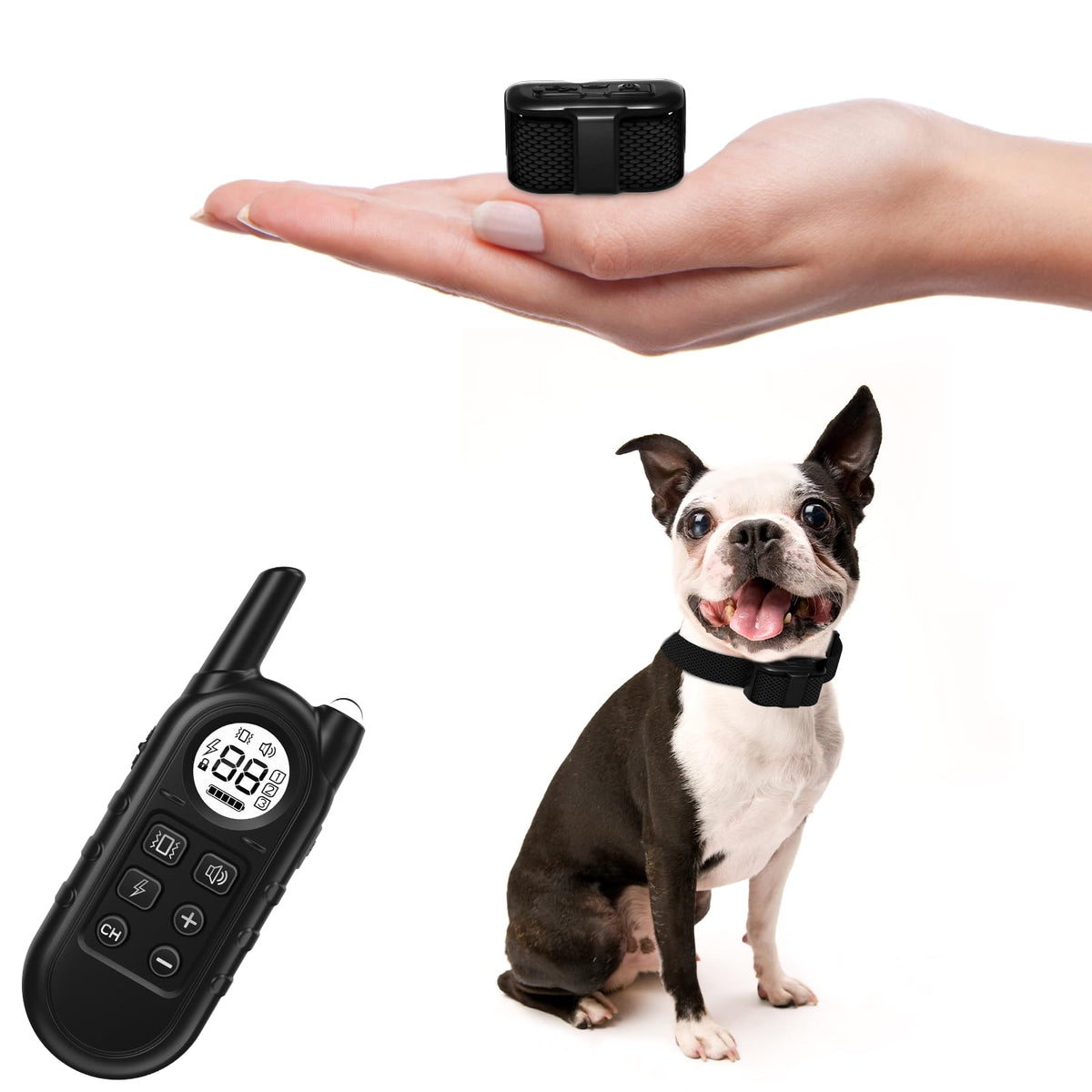 UbaNinva Tiniest Dog Collar front view highlighting ultra-light design for daily wear