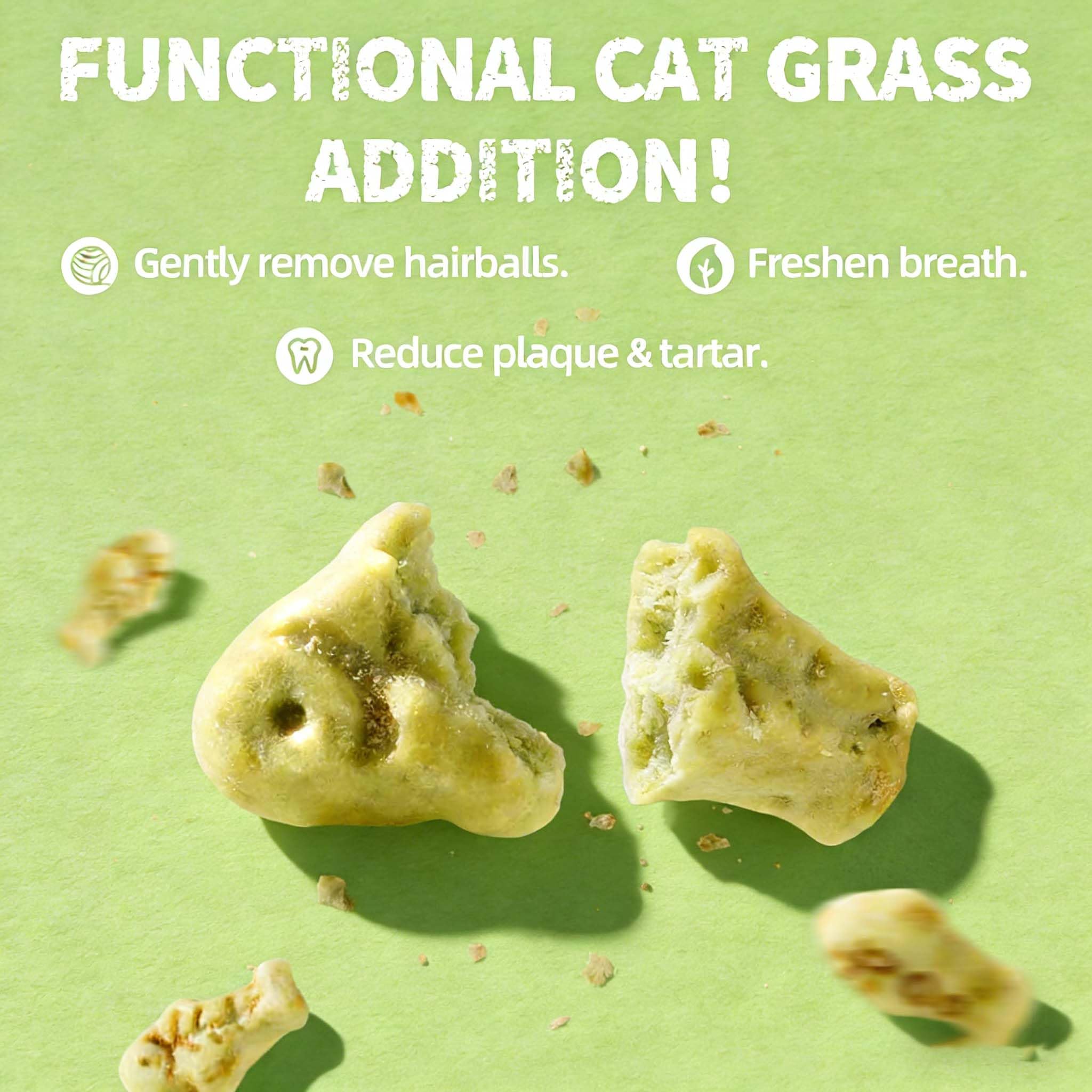 UBIETY hairball-control treats with salmon and catnip to reduce hairball incidents.