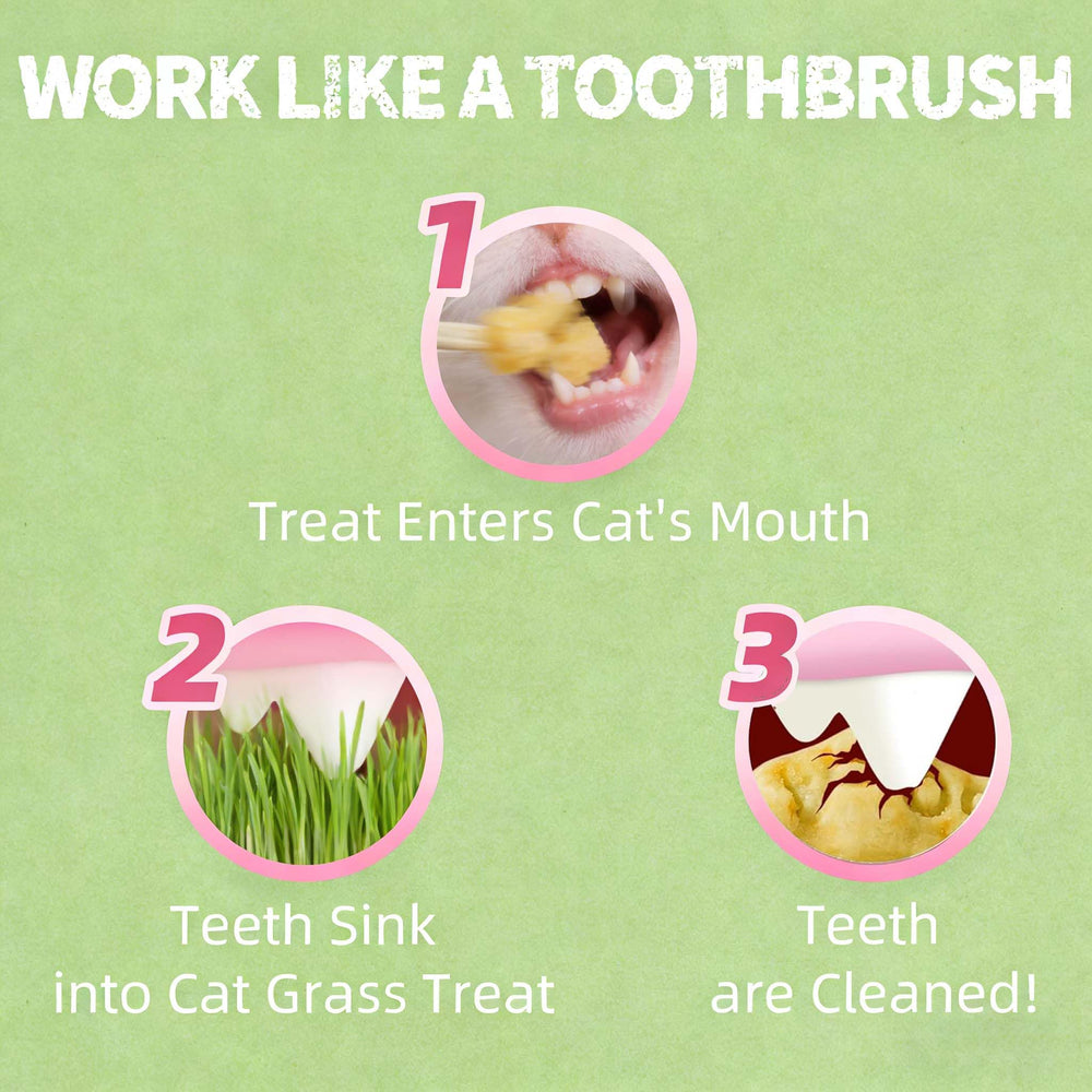 UBIETY indoor cat snacks deliver natural flavor during playtime.