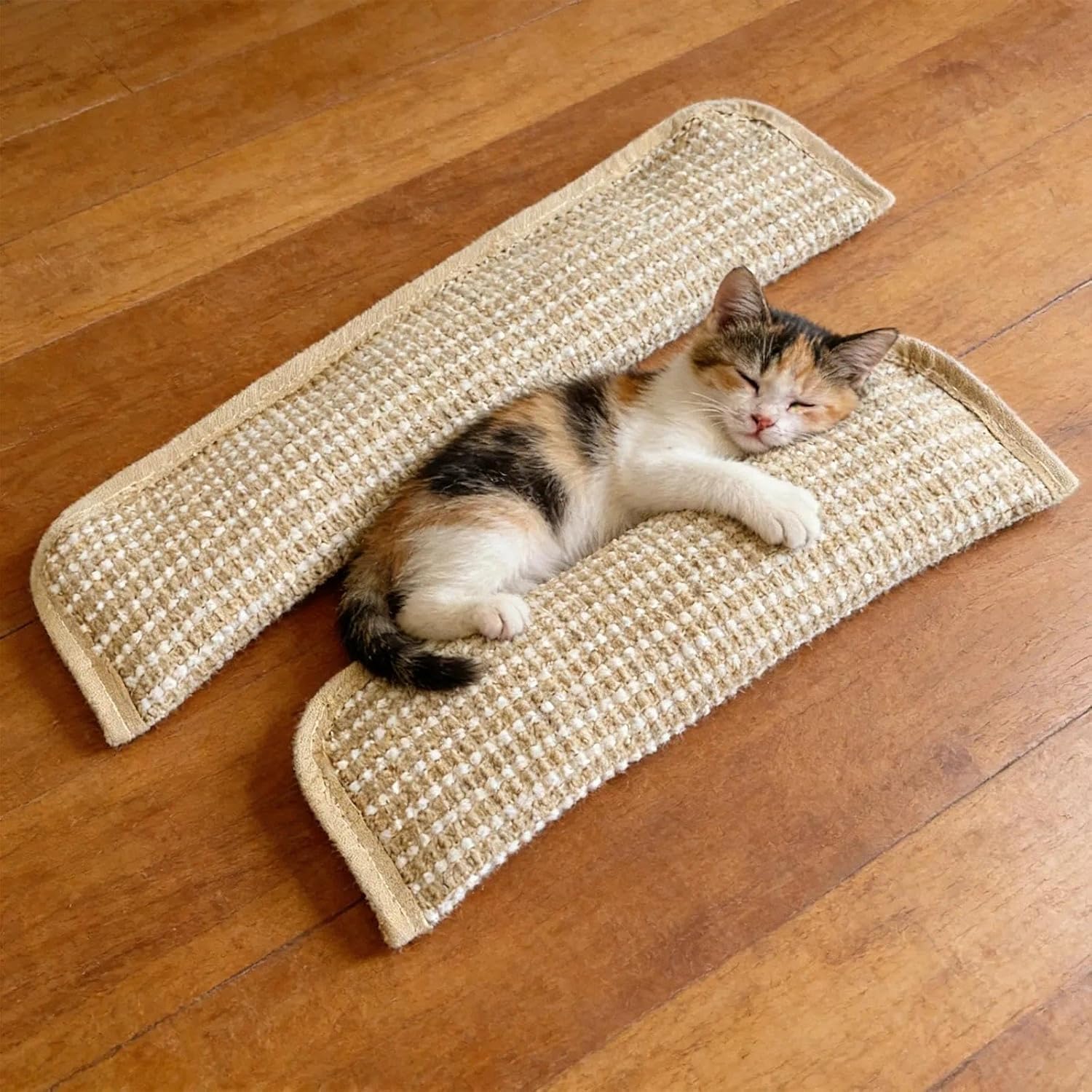 UBIETY durable chewers image emphasizing sturdy construction.