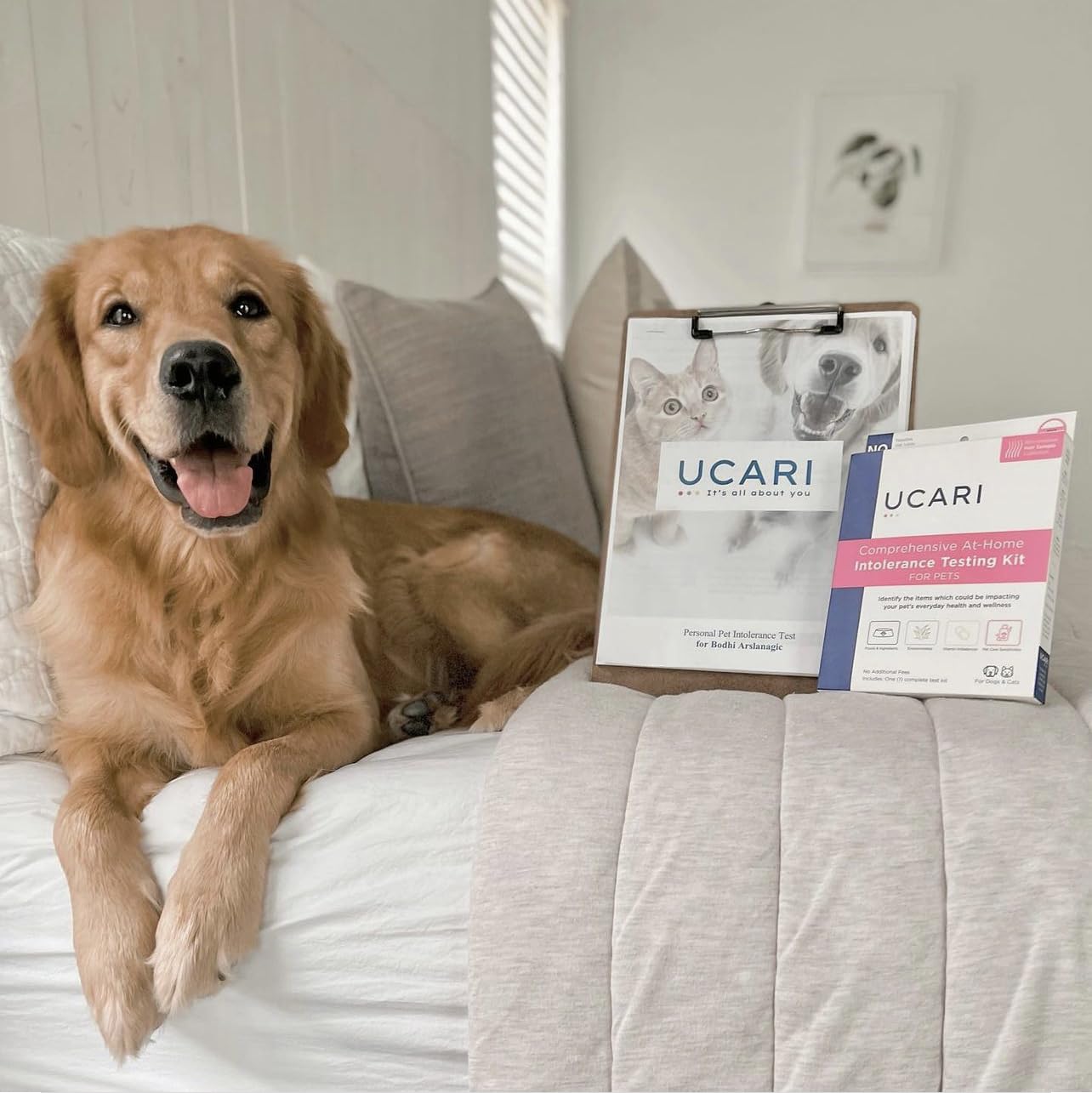 UCARI cat-dog usage scenario shows applying results to feeding decisions.