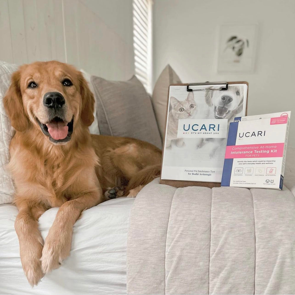 UCARI cat-dog usage scenario shows applying results to feeding decisions.