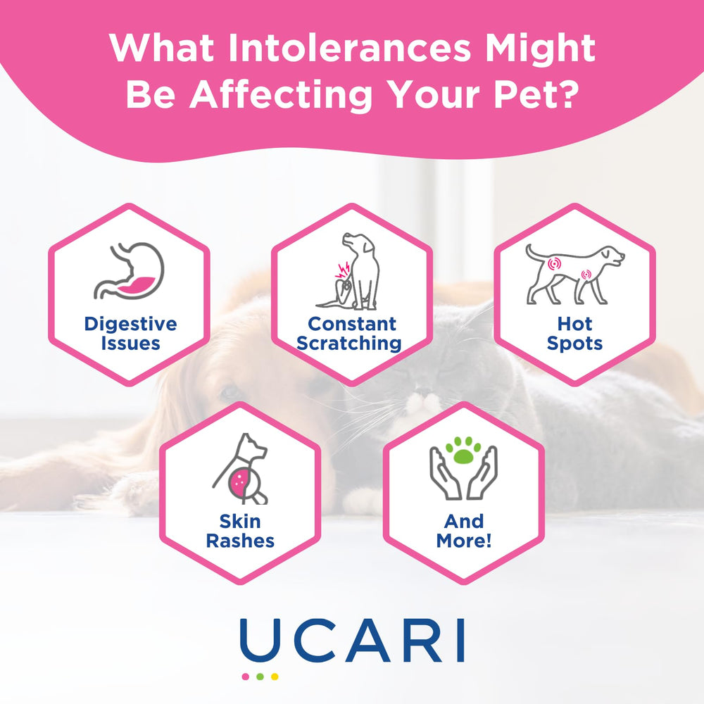 UCARI results dashboard view shows easy interpretation for pets' dietary needs.