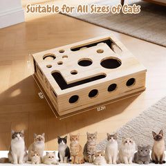 Uceento cat nail box with sandpaper inside for natural claw care during play