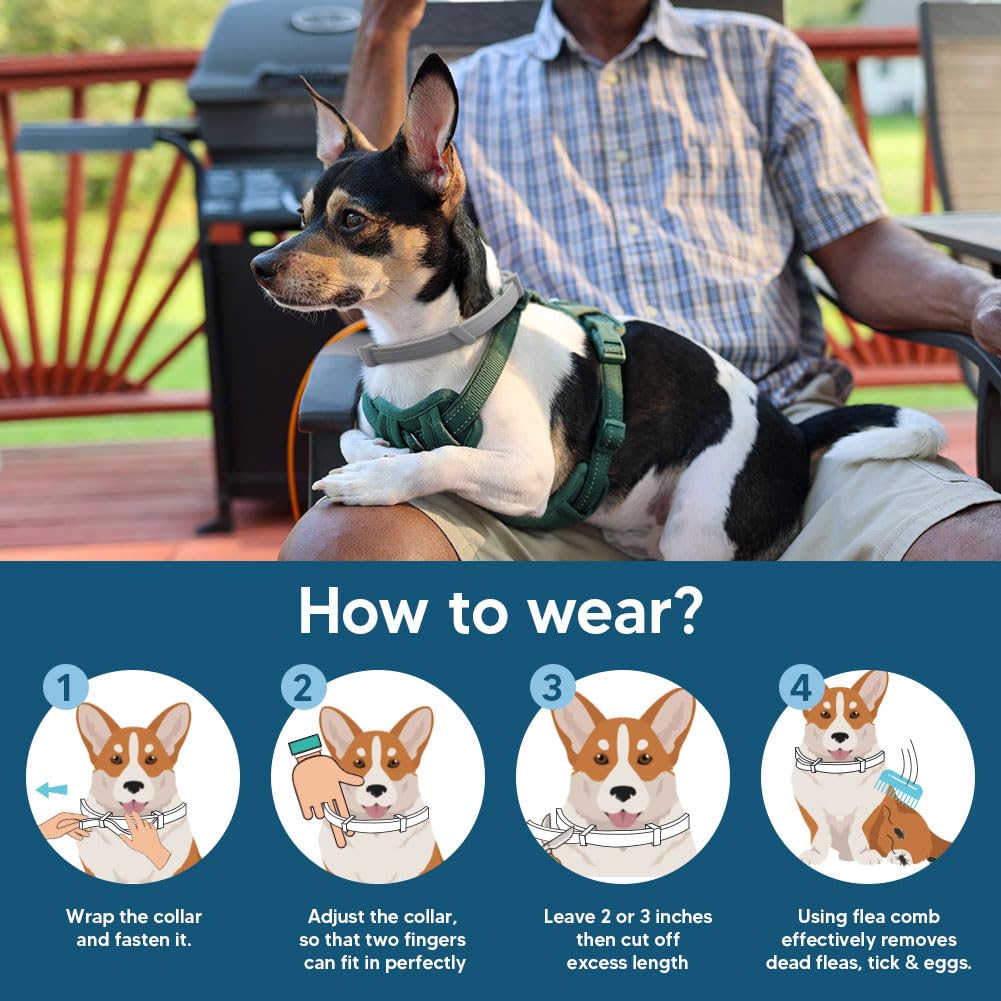 UDyoude small dog collar buckle shows a secure, easy fit for dogs under 18 lbs.