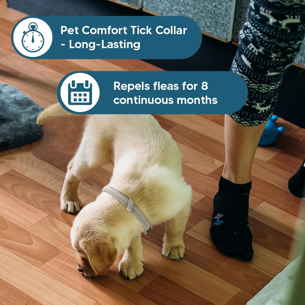 UDyoude weatherproof collar remains effective in rain or bath time.