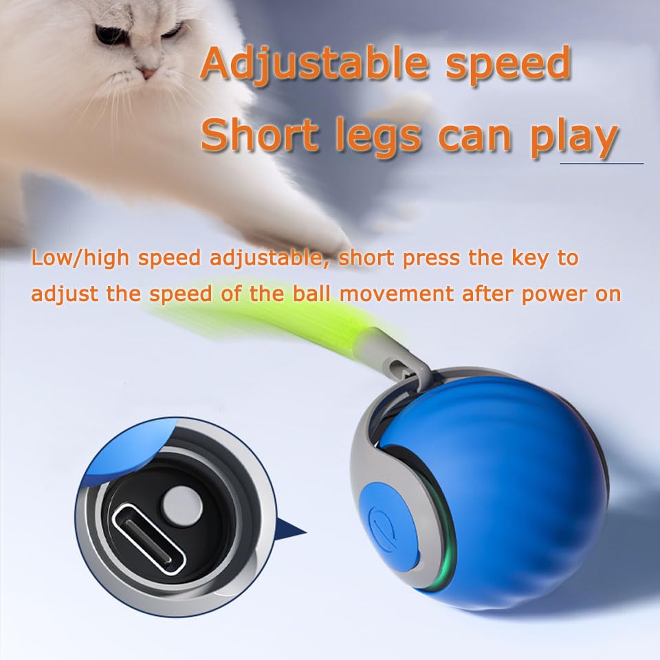 ugdurwp dual-speed control button enables tailored play for energetic cats.