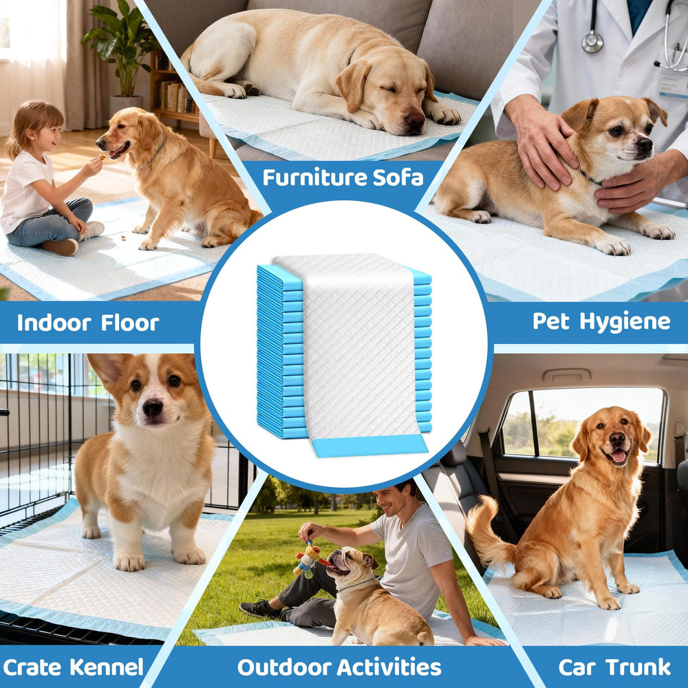UGODAR easy cleanup disposable pad saves time after use.
