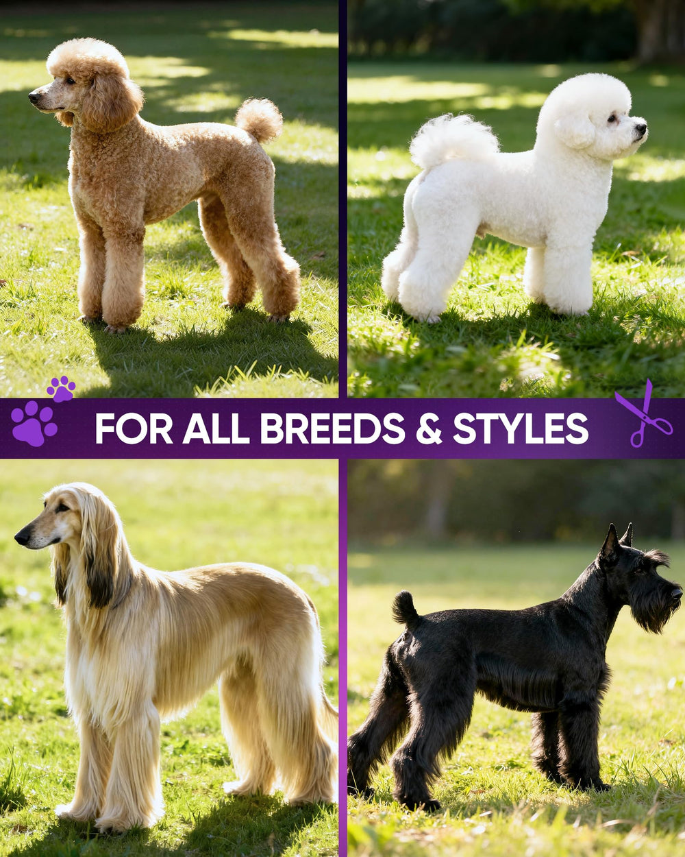 ULG all-breeds curved scissors adapt to diverse coat styles