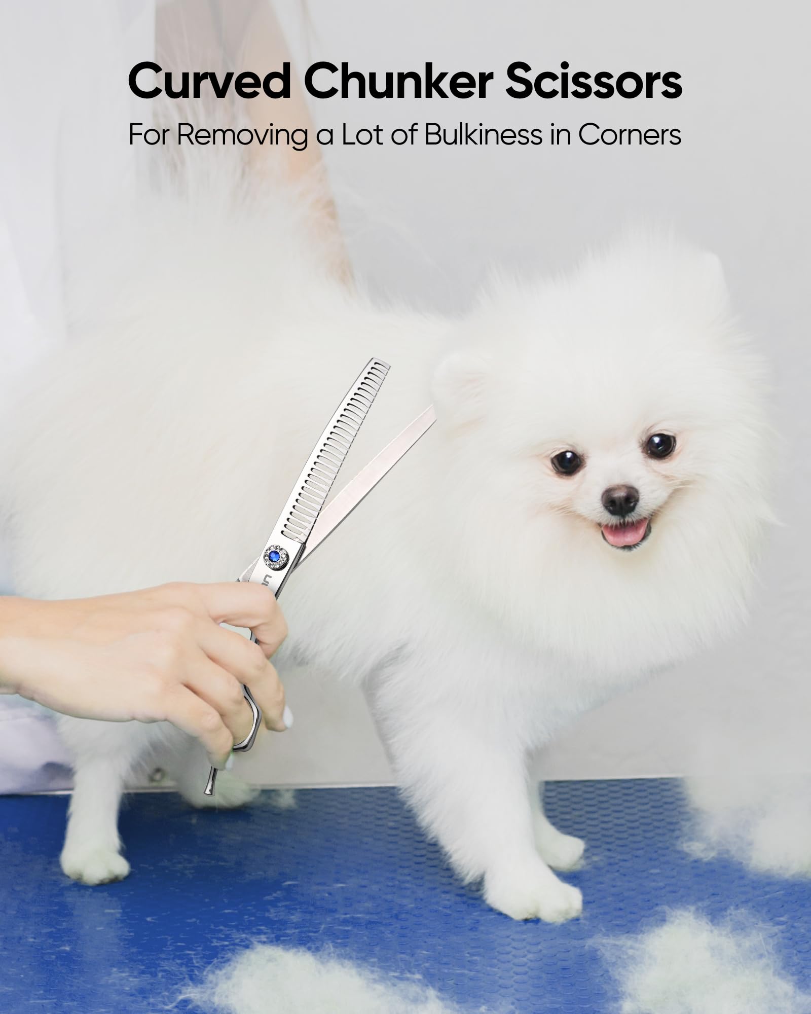 ULG thinning scissors shaping natural fur transitions around ears and eyes.
