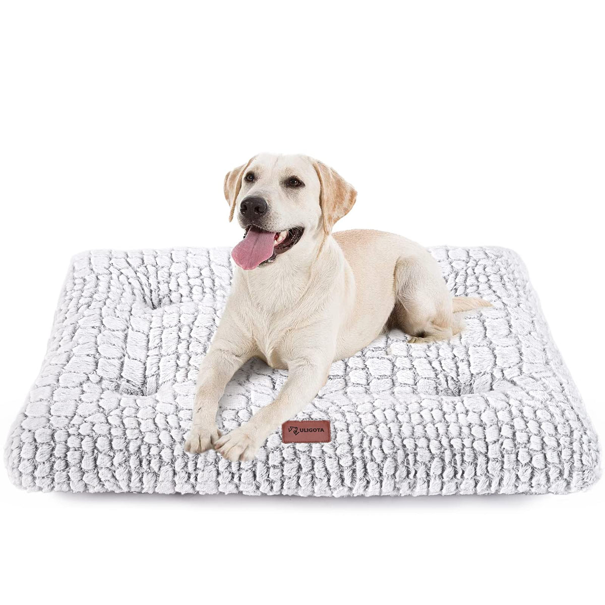 ULIGOTA plush-top dog bed close-up for cozy sleep