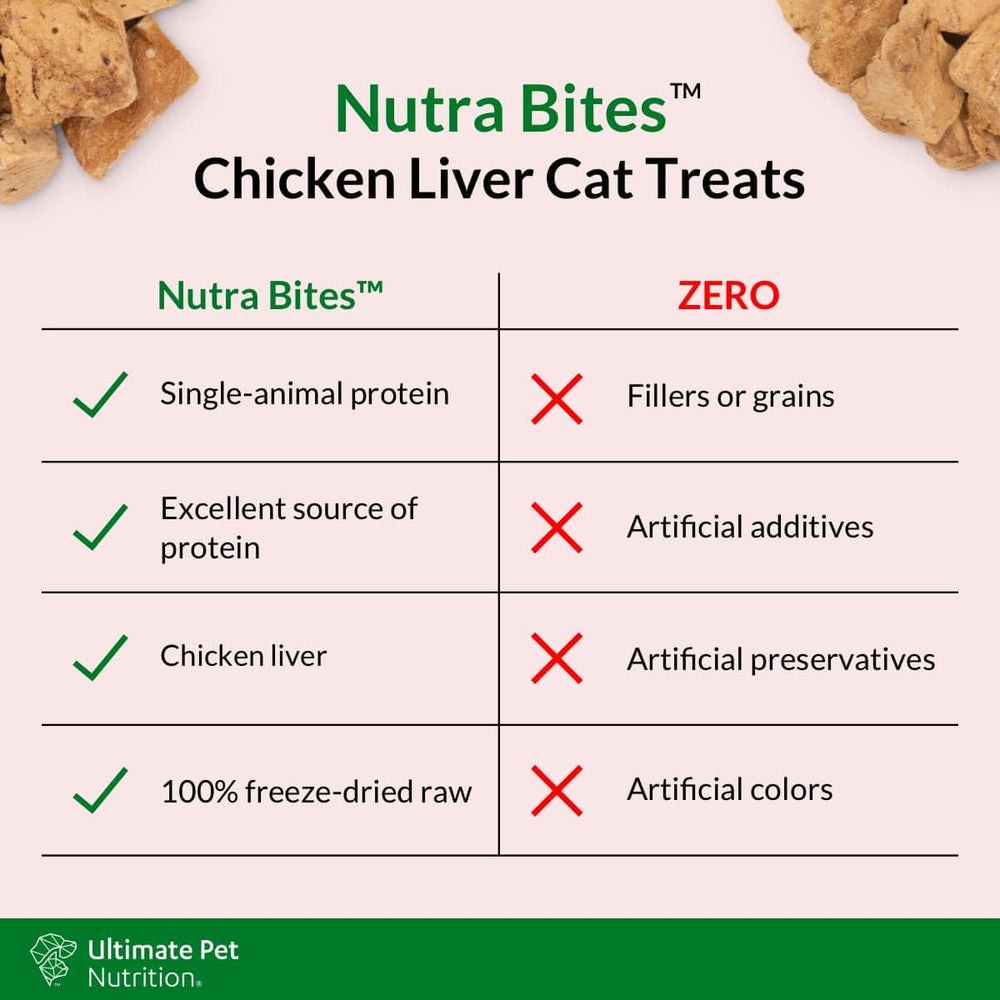 ULTIMATE PET NUTRITION Nutra Bites cat on sofa enjoying a treat.