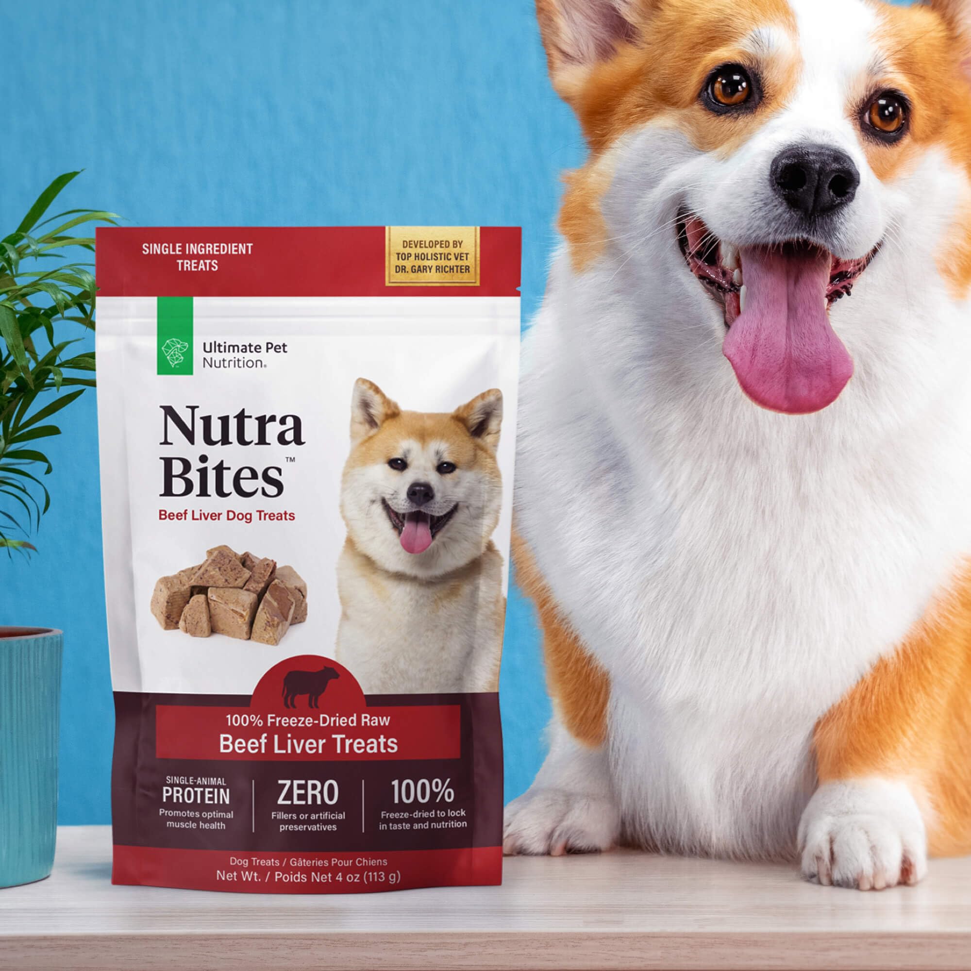 Nutra Bites dog treat collection for daily training routines.