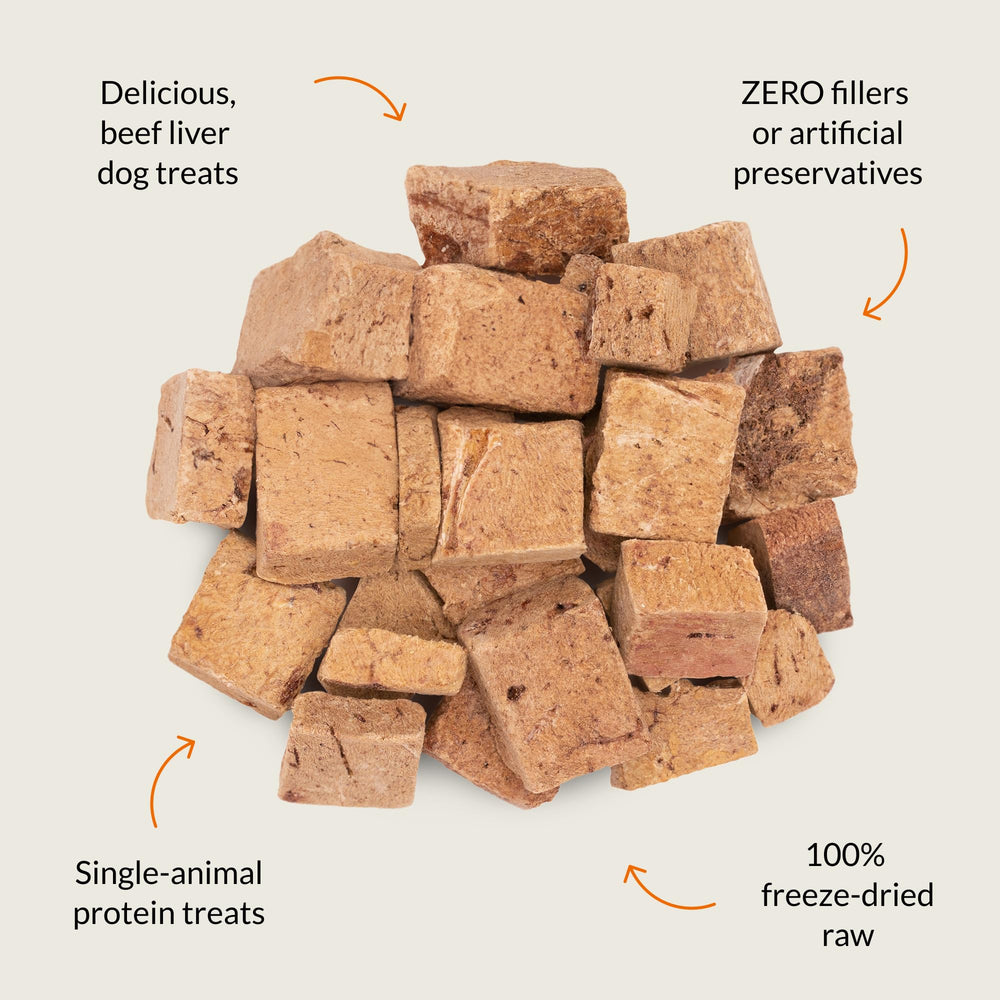 Nutra Bites freeze-dried beef liver snack close-up, preserving aroma and texture.