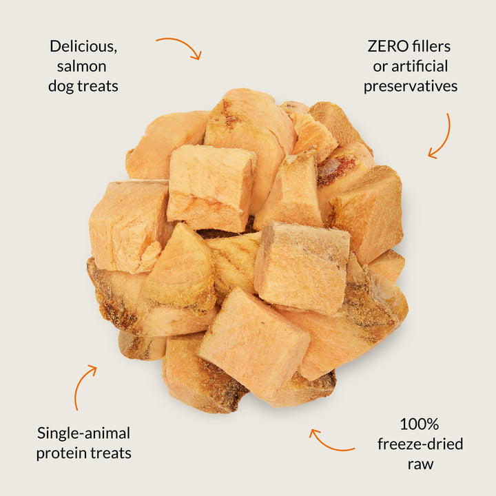 Nutra Bites freeze-dried texture showcases crisp aroma for enticing training rewards.