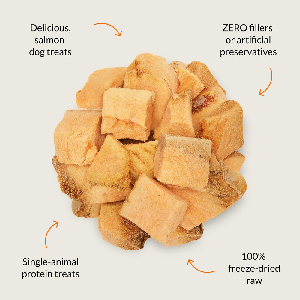 Nutra Bites freeze-dried texture showcases crisp aroma for enticing training rewards.