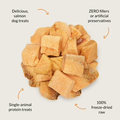 Nutra Bites freeze-dried texture showcases crisp aroma for enticing training rewards.