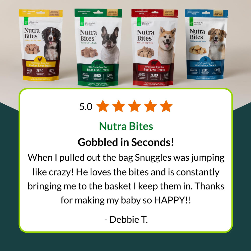 Salmon chunks atop dog food topper illustrating easy meal enhancement.