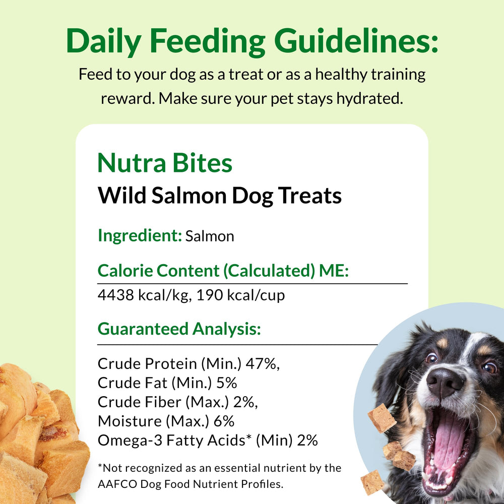 Dog-friendly training session with Nutra Bites as a high-value reward.