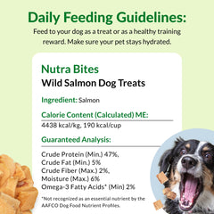Dog-friendly training session with Nutra Bites as a high-value reward.