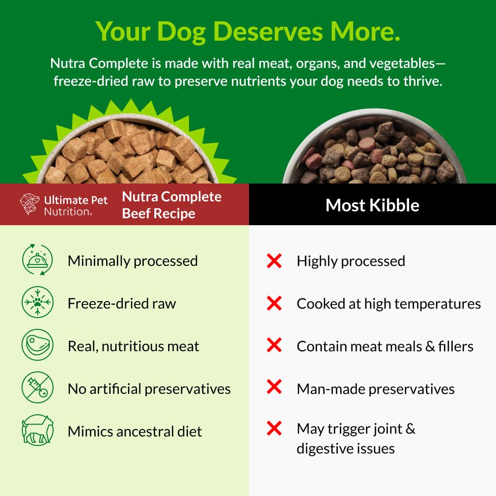 Serving bowl with Nutra Complete freeze-dried beef, highlighting protein-rich nutrition.
